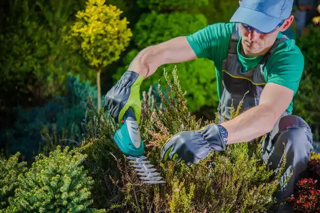 landscaping services West Hill